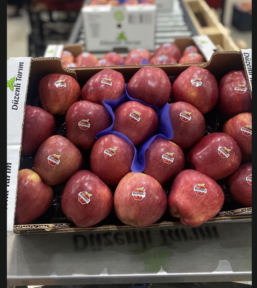 ekran resmi 2026 01 08 10.32.36